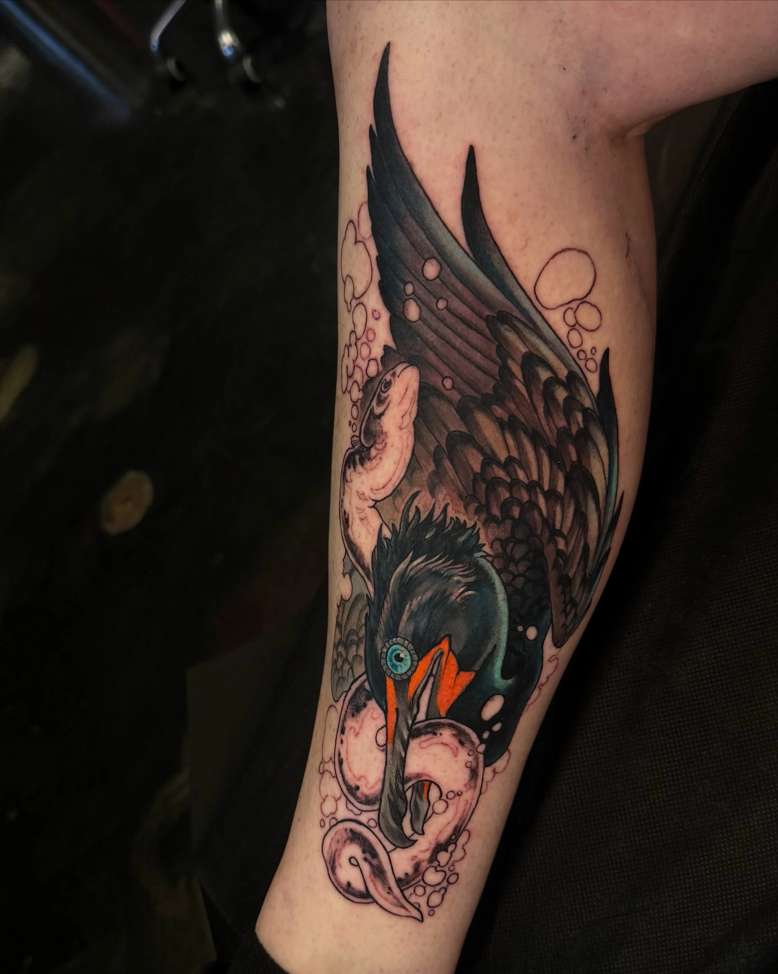 double crested cormorant &amp; single american eel for tara! we finished the cormorant but have a second session set up for the eel &amp; bubbles &amp; any last min touch ups. super happy with how it&rsquo;s looking so far! 

kw: bird cormorant eel f