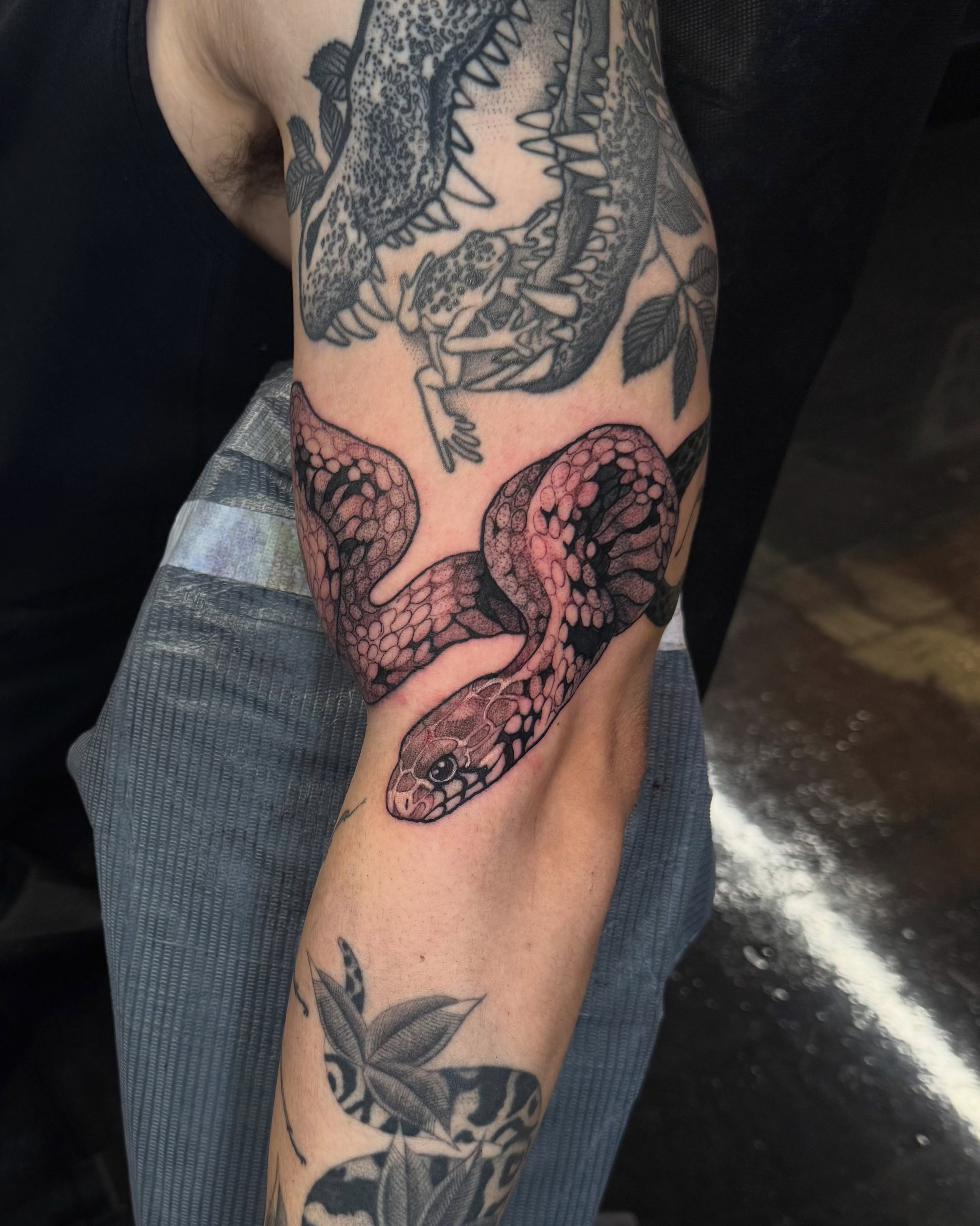 black tailed cribo wrap around for ben&mdash; one of those tattoos that fits perfectly but is impossible to photograph. ☠️ 

kw: snake arm tattoo black and grey reptile wrap etc