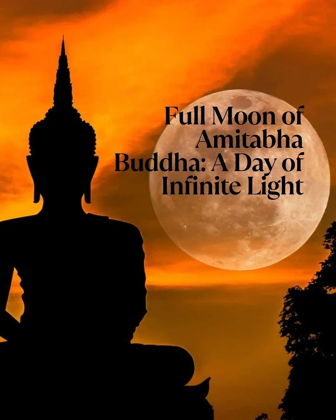 Radiating infinite light and boundless compassion, Buddha Amitabha embodies profound wisdom and enlightened leadership. Just as Amitabha guides beings to a realm of ultimate joy, conscious leaders can illuminate the path for others by cultivating cla