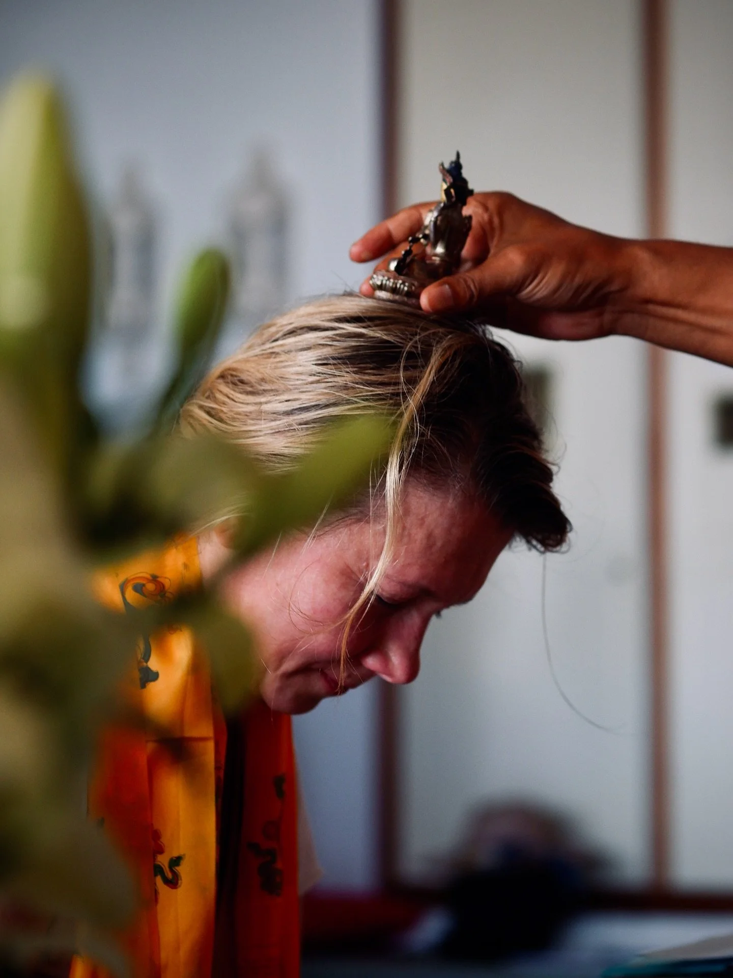 Taking Refuge . A Sacred Commitment
In the Buddhist tradition, taking refuge is a sacred threshold.
It marks the moment when we consciously choose a new way of living — rooted in awareness, compassion, and truth.
It’s not about religion.