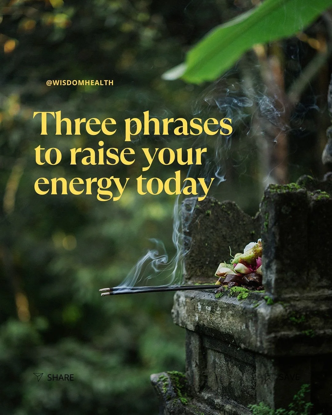 Gratitude is the fastest way to shift your energy.
Start your day with these three simple phrases to cultivate presence and joy. Gratitude is more than a practice — it’s a daily reset for your mind.
In our Bali retreat, we practice gra