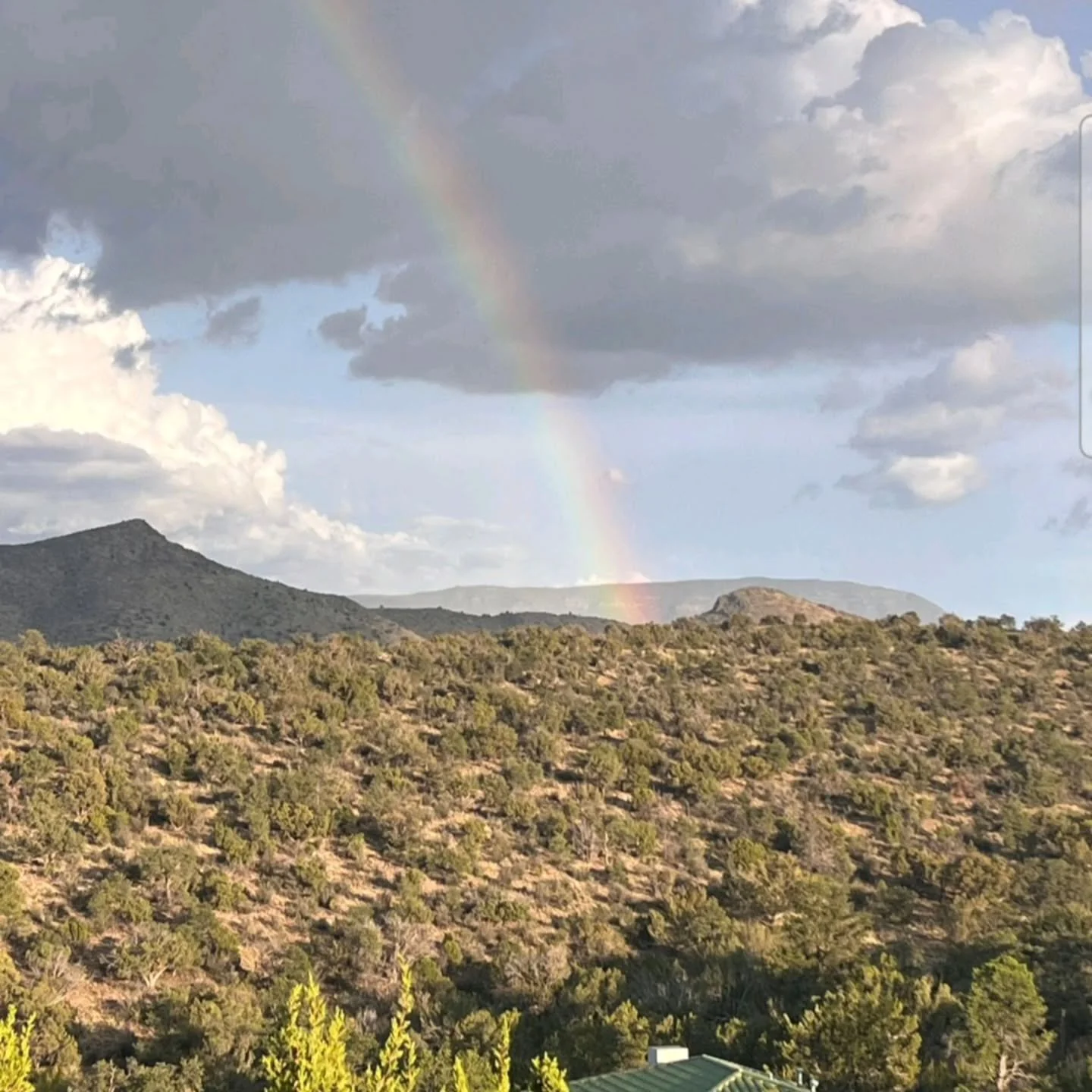 Conscious Leadership: Is Your Motivation Truly Pure?
Once,I attended a retreat that beautifully integrated ancient wisdom with scientific and philosophical thought, focusing not just on Conscious Leadership but also Enlightened and Compassionate Lea