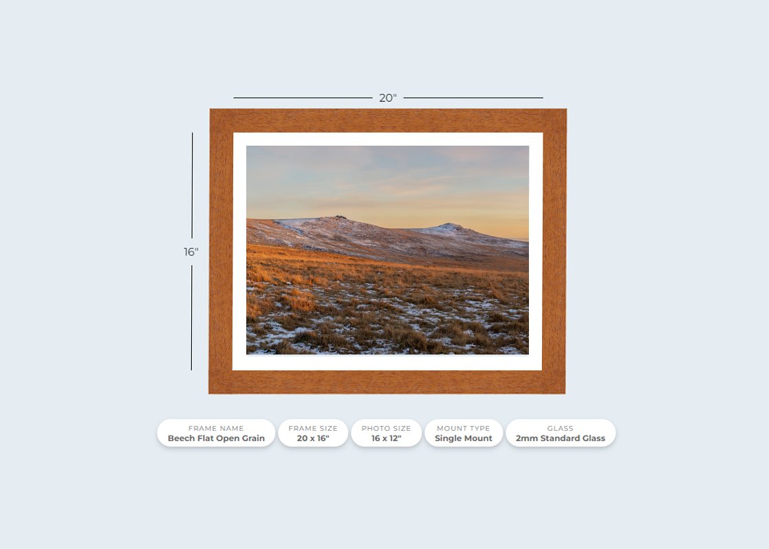 Hare Tor and Sharp Tor Beech.jpg