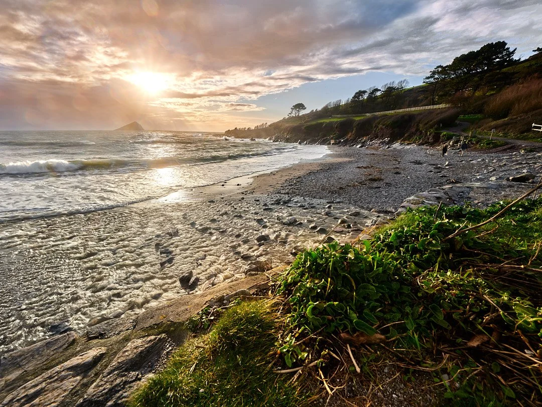 The Amateur Ark-Builder’s Guide to Wembury Beach (Before the Rain Returns)