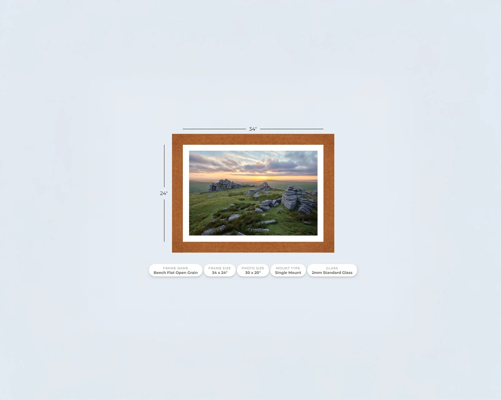 Great Mis Tor Beech.jpg