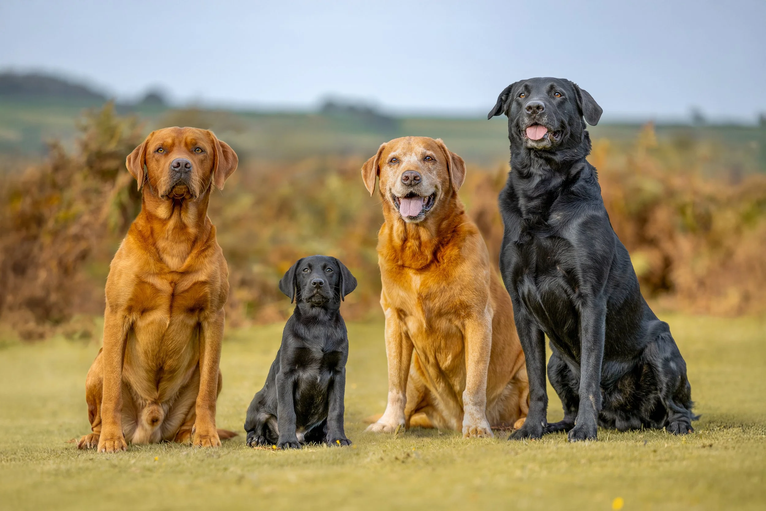 _Y0A5401-Edit-Edit-Edit-1 copy.jpg