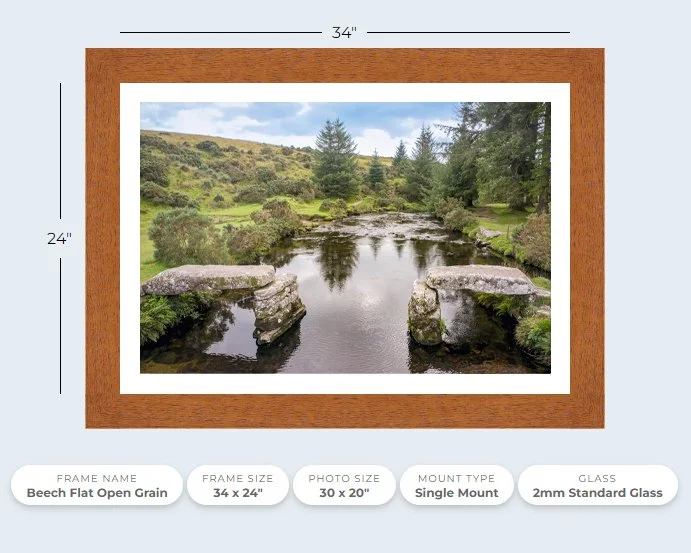 Bellever bridge beech.jpg