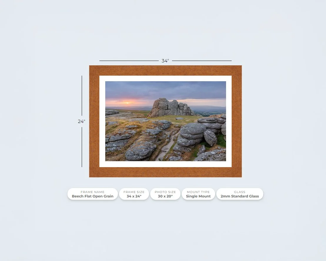 Haytor Beech.jpg