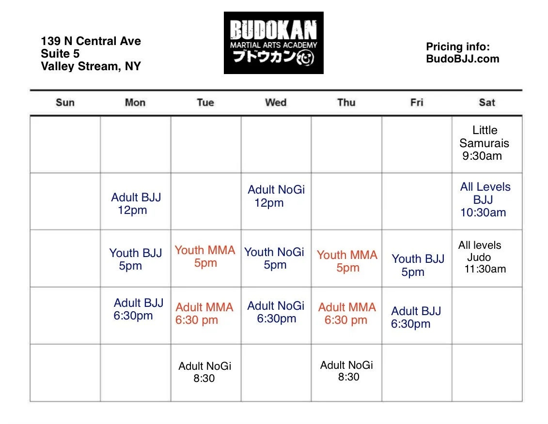 Weekly Classes & Pricing — Budokan Martial Arts Academy
