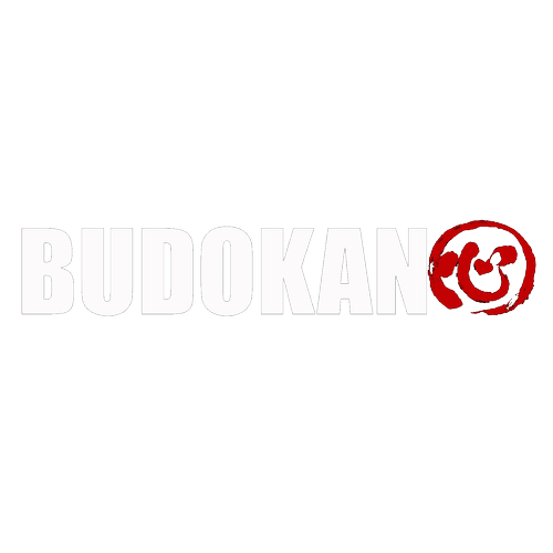 Budokan Martial Arts, business photo 3