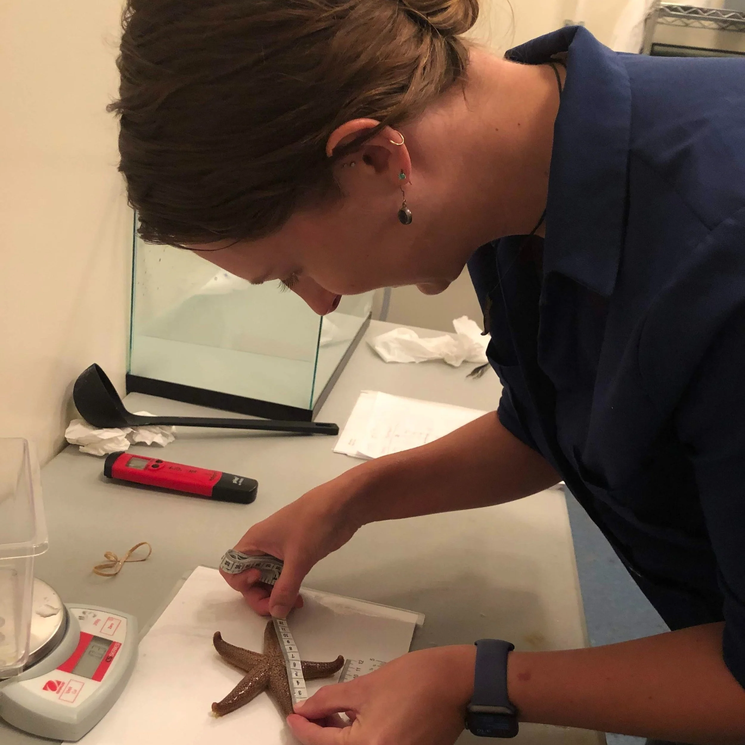 Dr. Sarah Wahltinez