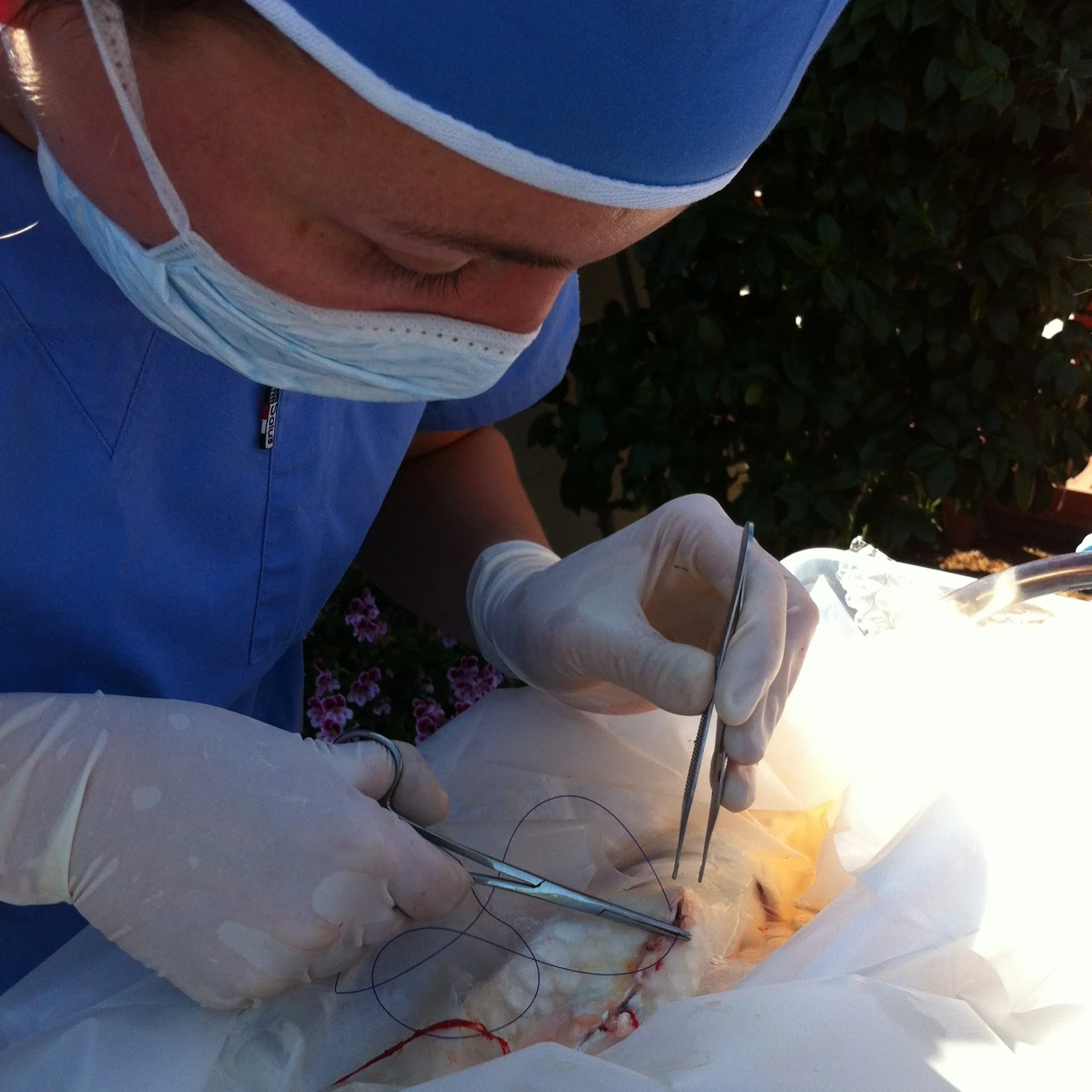 Dr. Jessie Sanders