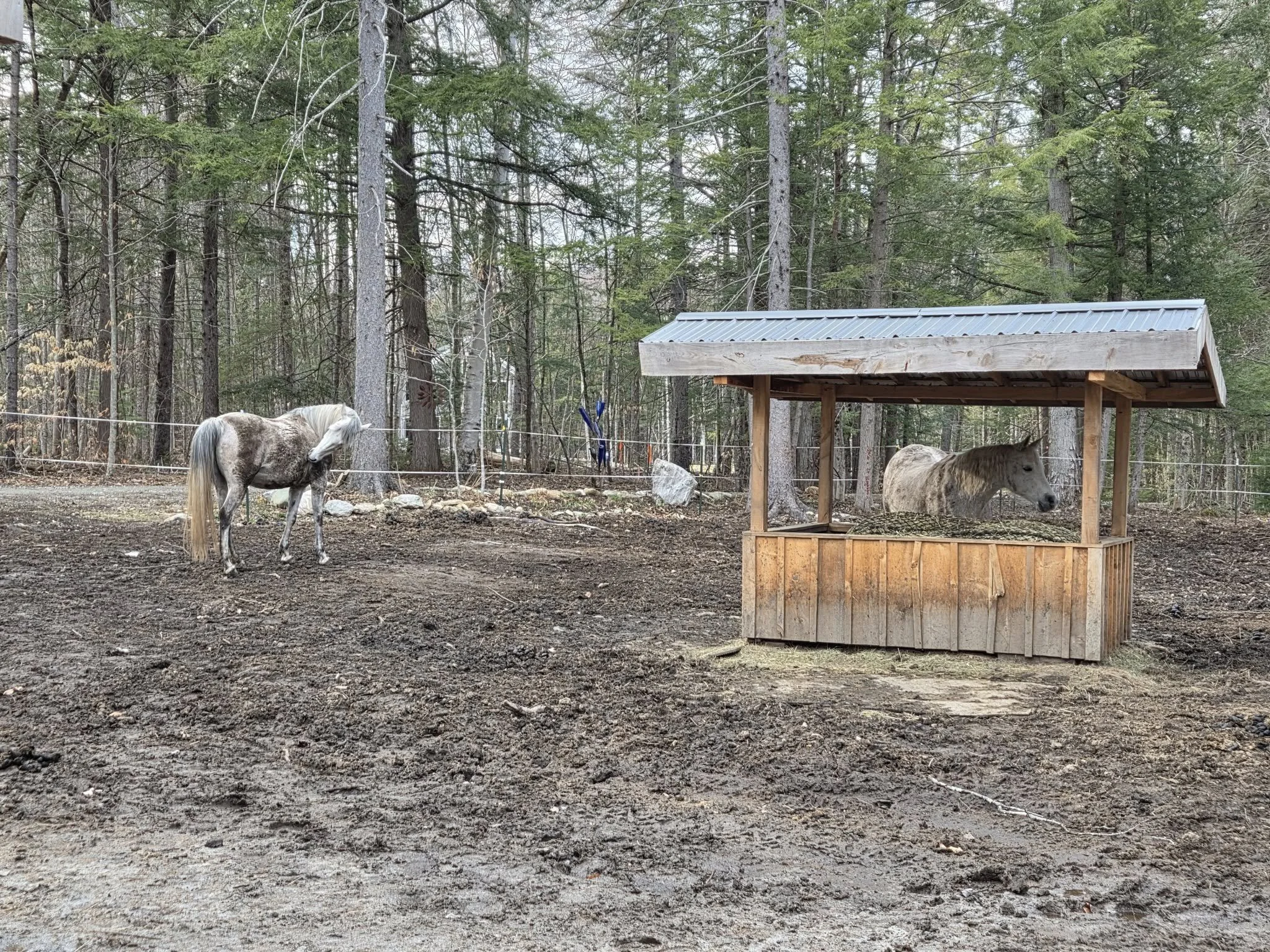 The 2026 Season is fast upon us!