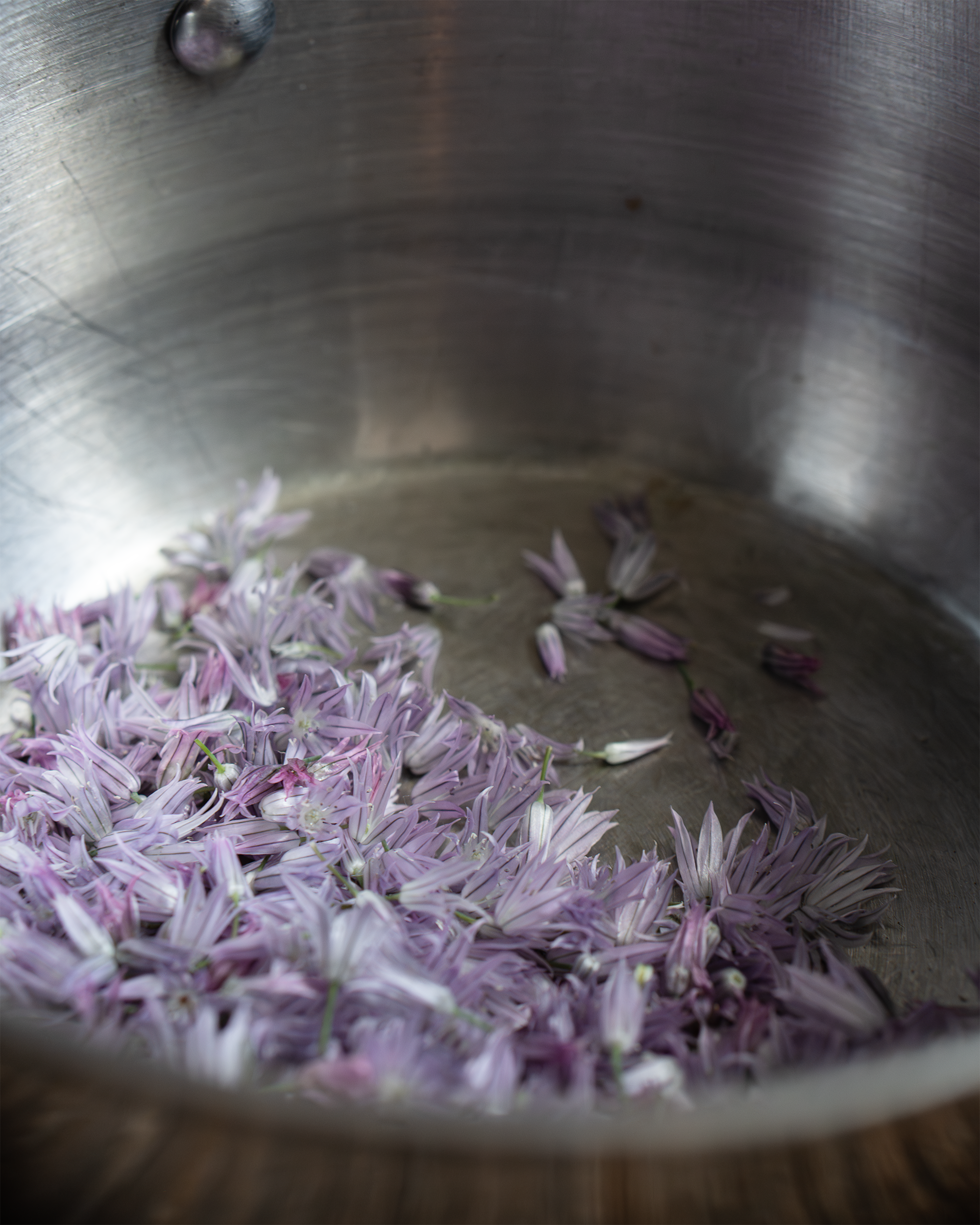chives-petals-sm.png