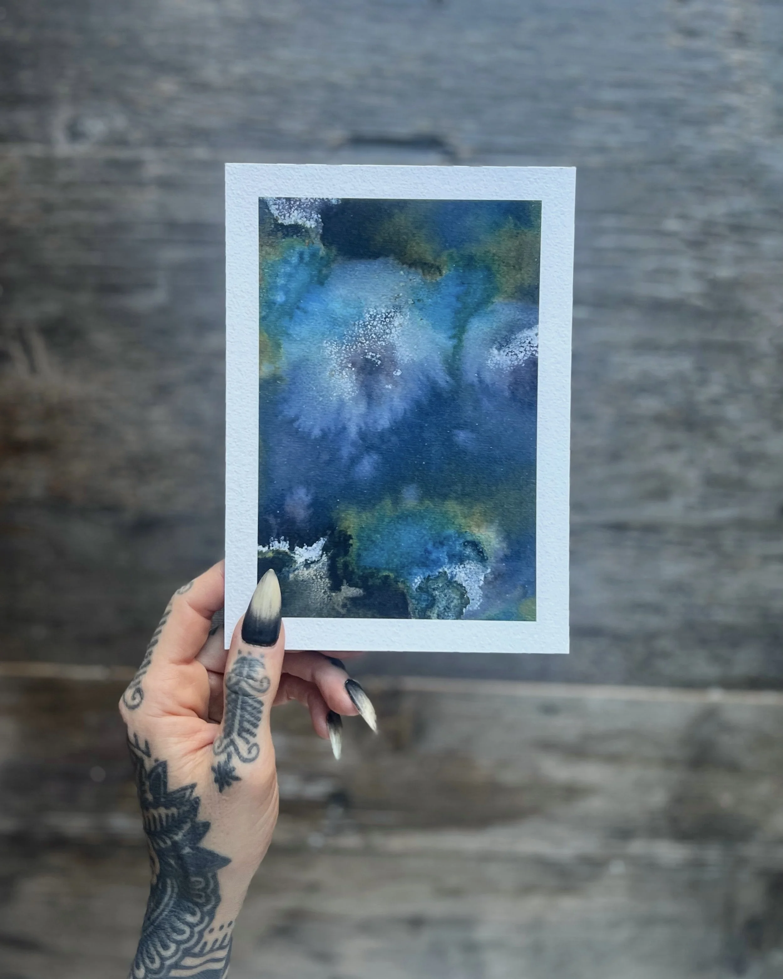 Photo 2026-02-01, 9 14 53 AM.jpg