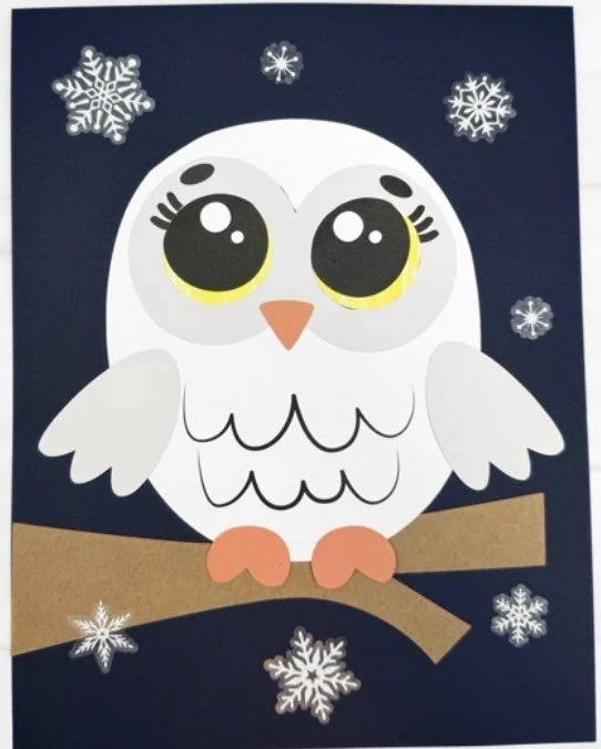 Week of 12/22 - 12/29