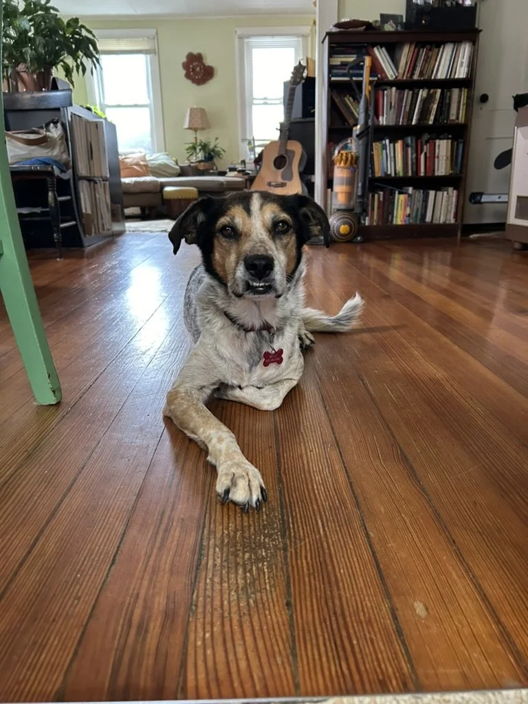 Tuesday Book Club @7pmEST and BB updates 4/13-4/19