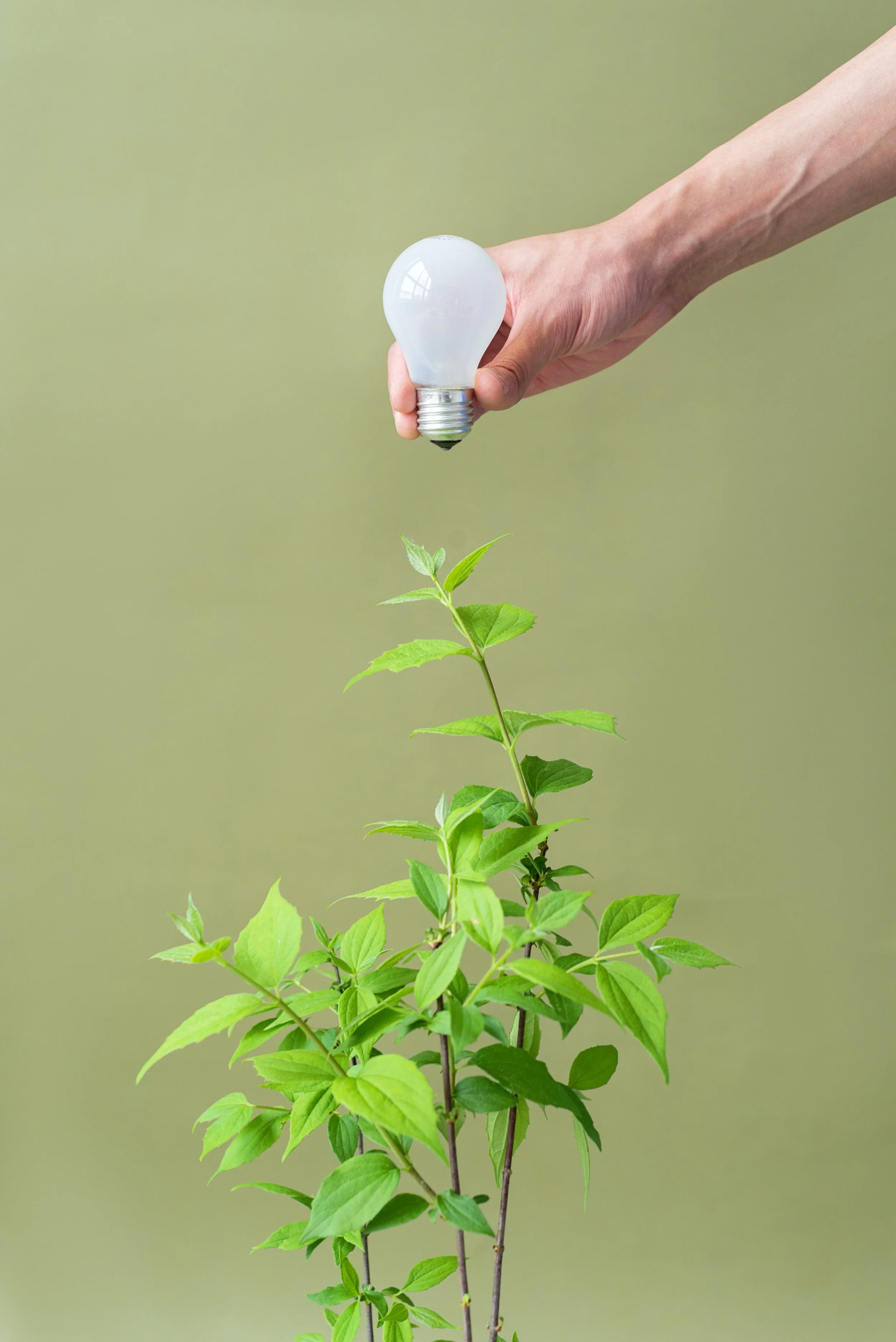 5 Apartment Gadgets That Will Make Your Life Better