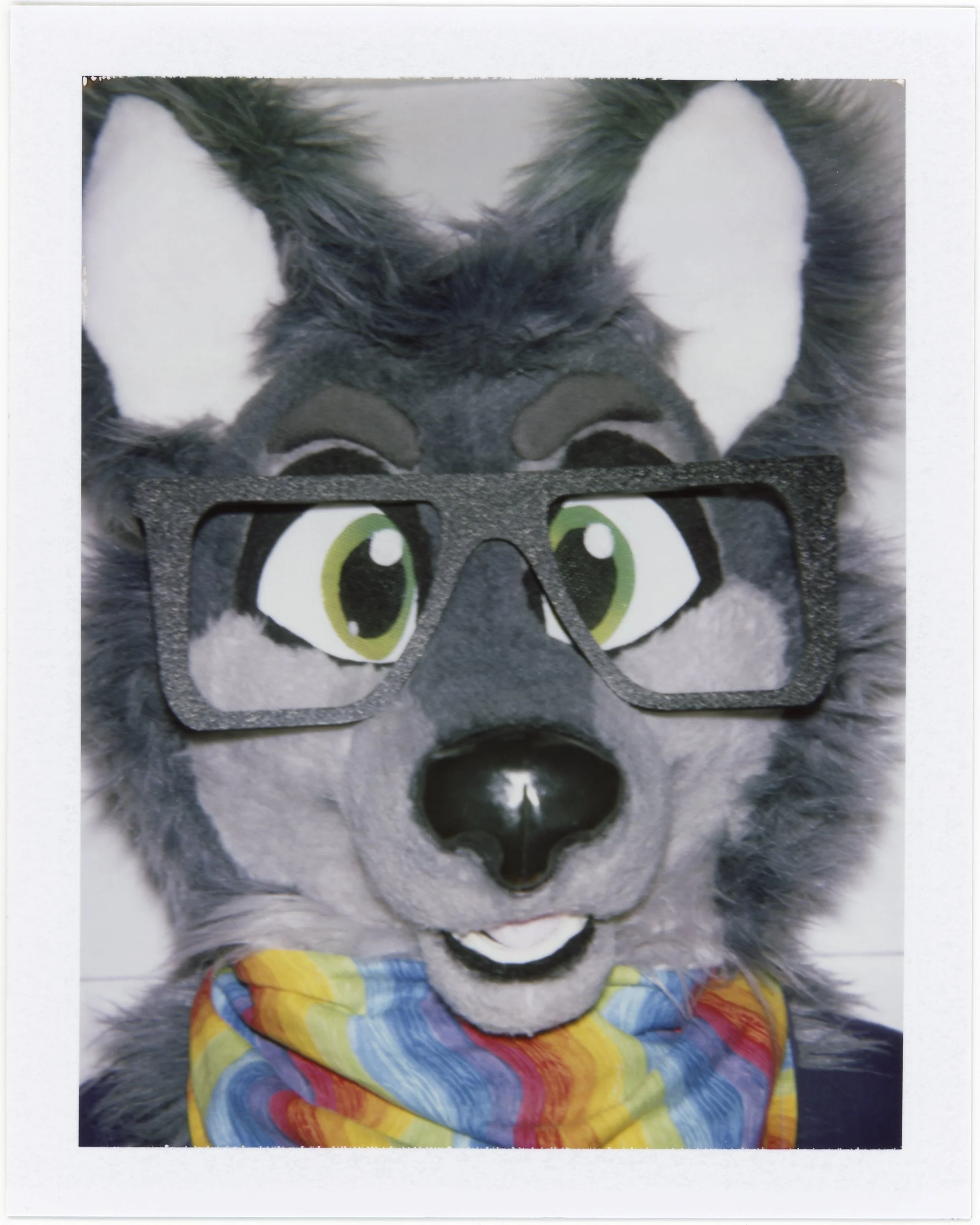 Furry 2025