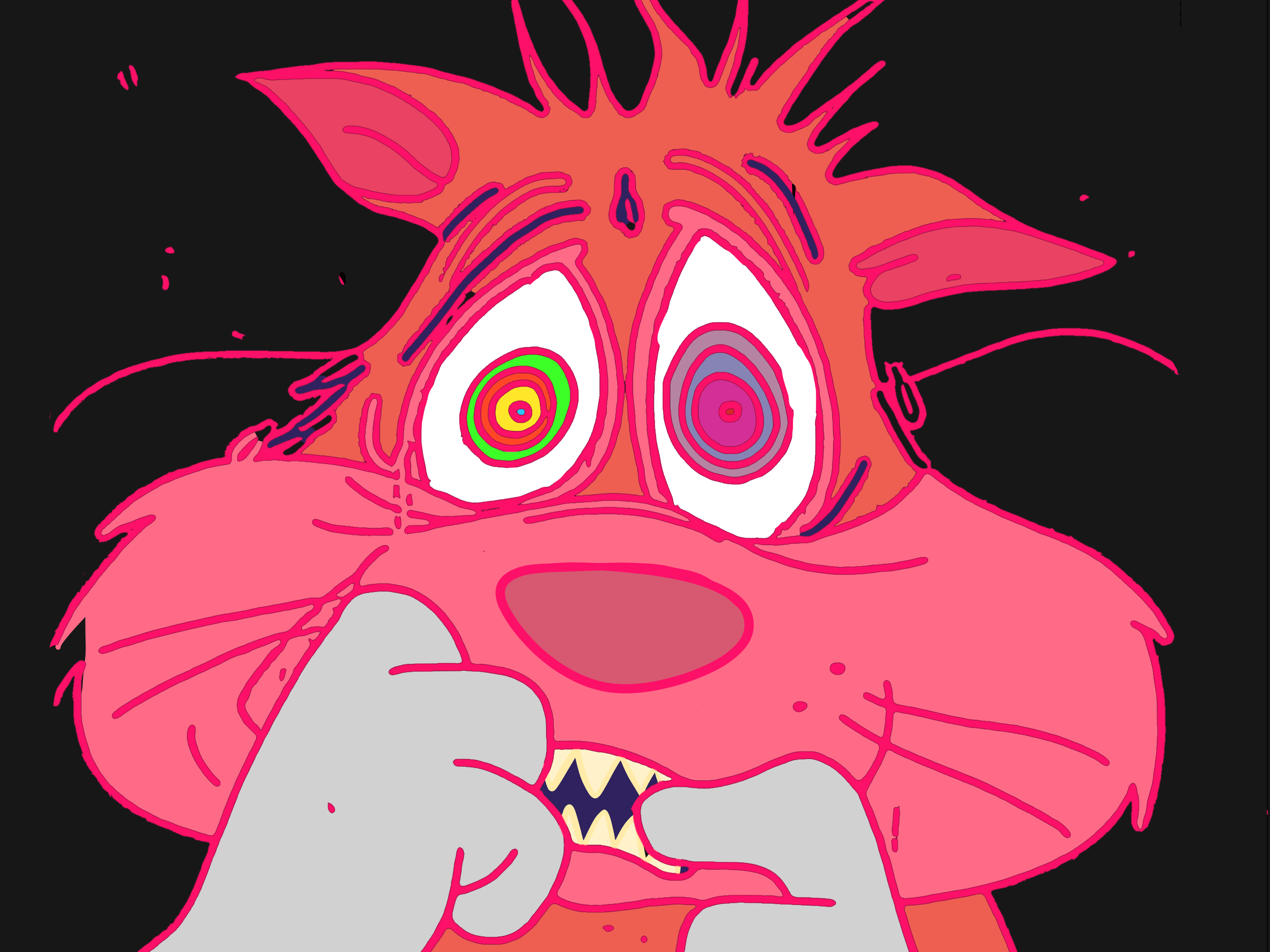 IMG_7410.PNG