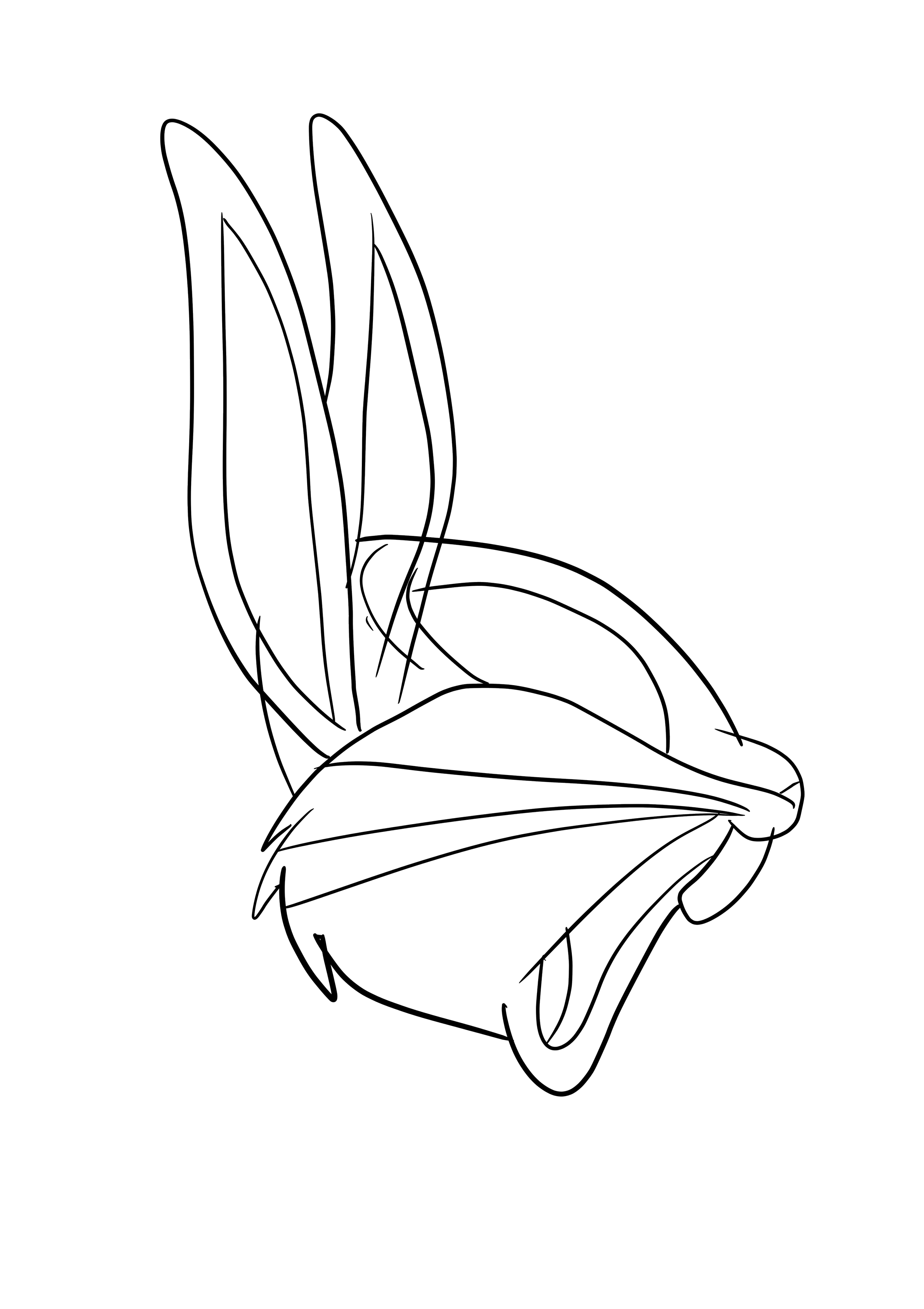 IMG_7415.PNG