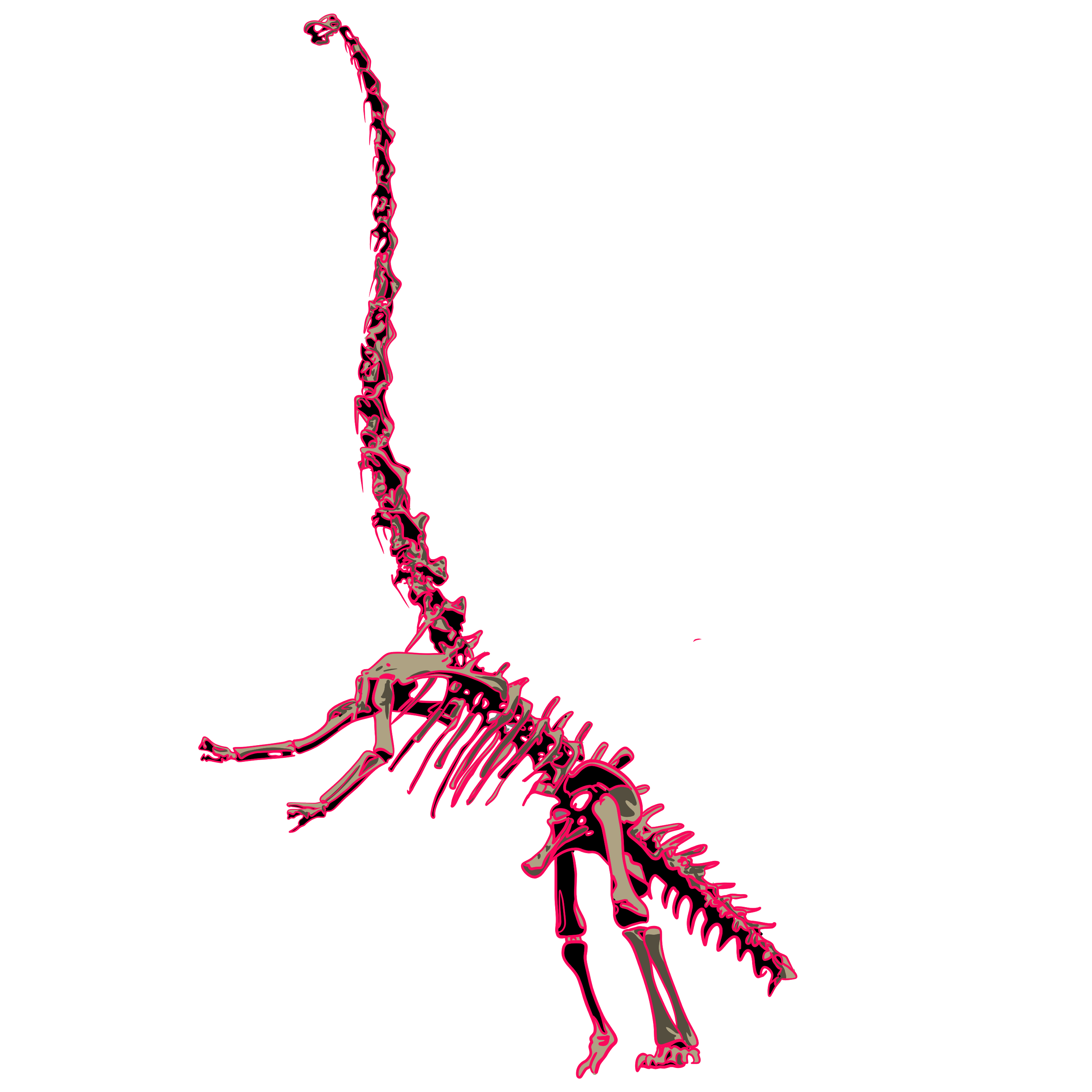 IMG_5623.png