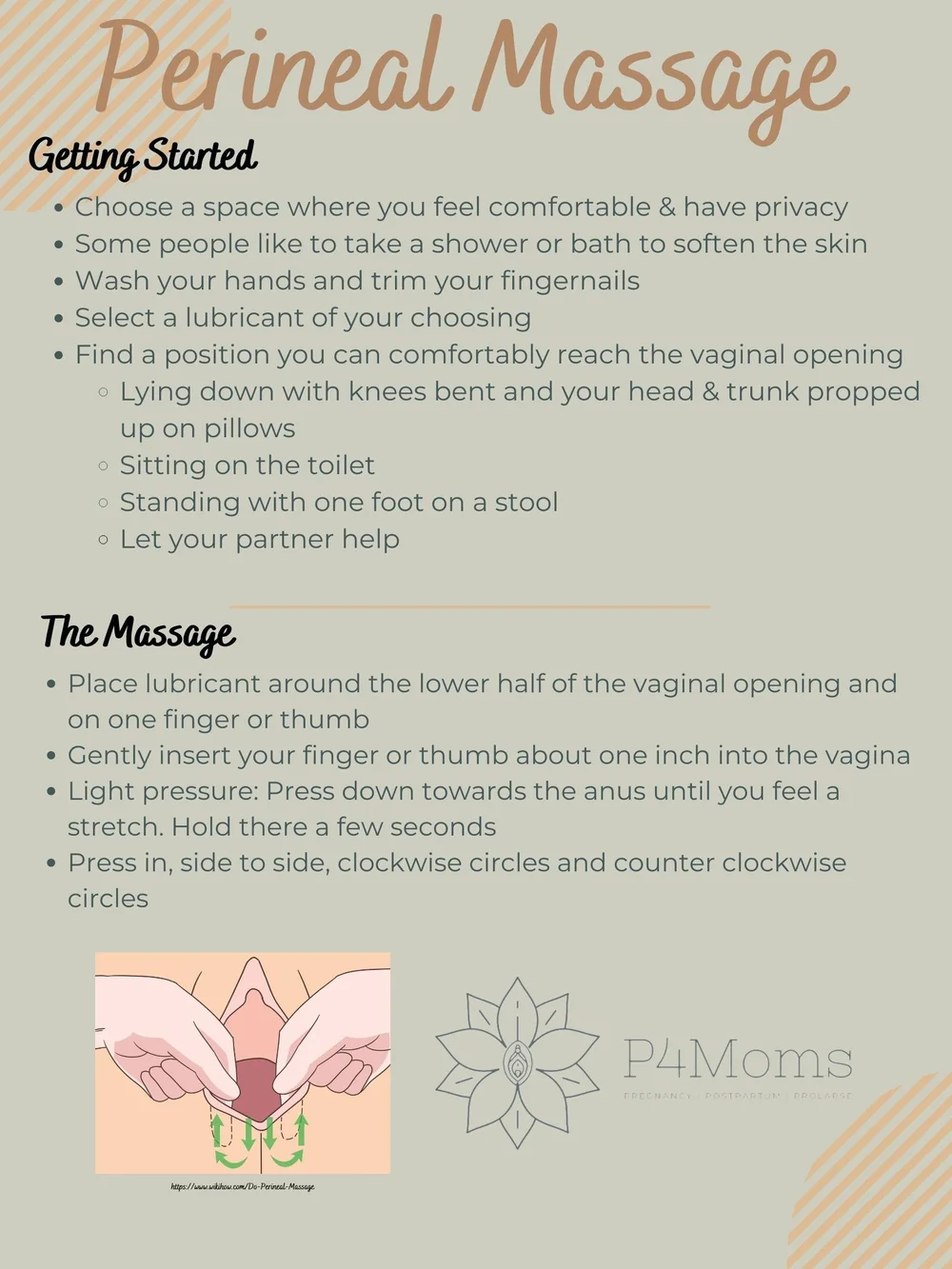 Pelvic Floor Clinical Handouts for Common Postpartum Difficulties — P4MOMS