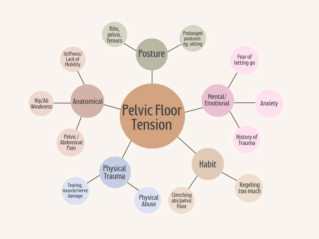 Pelvic Tension Map.jpg