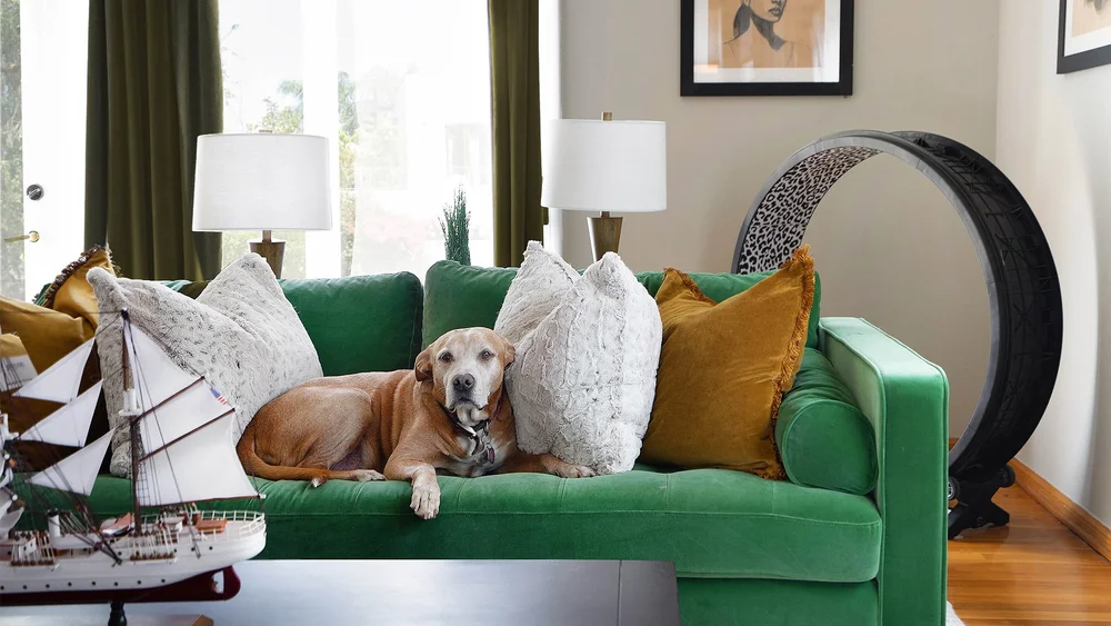 Fresh Look at Uniquely You Decor I Non Toxic Interior Design