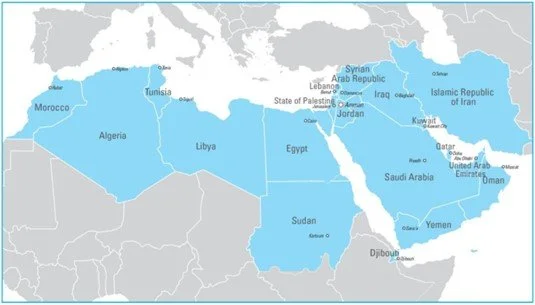 Assessing and strengthening community health systems in the Middle East and North Africa region