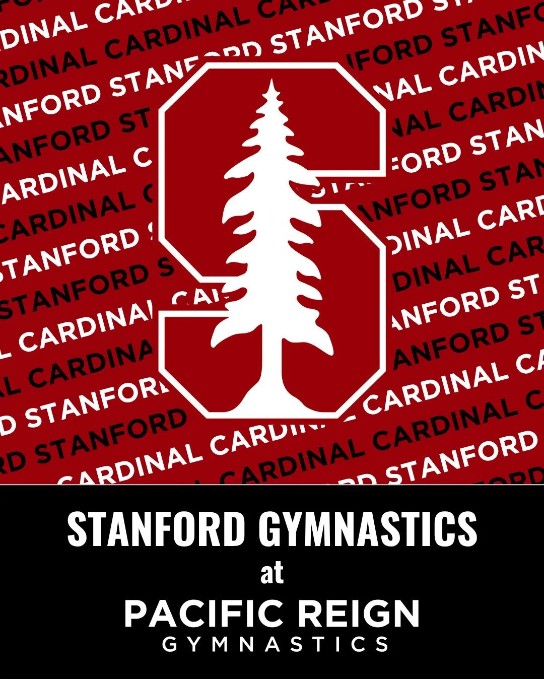 @stanfordgymnastics is BACK! @vsmoove13 is here observing practice this morning! Thank you for being here, Vince!

#NCAAGym #collegerecruiting #NCAArecruit #Train2Reign👑