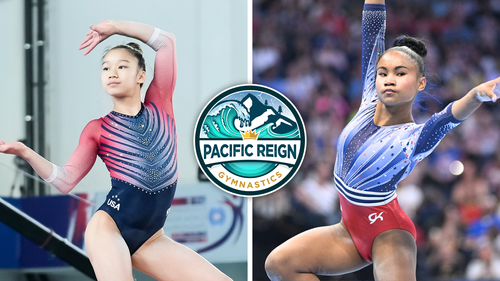 PACIFIC REIGN GYMNASTICS BIRTHDAY PARTY visual data 7