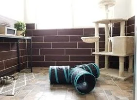 Living room with brown brick half-wall, a cat tree, and a black and teal collapsible pet tunnel on a hardwood floor.
