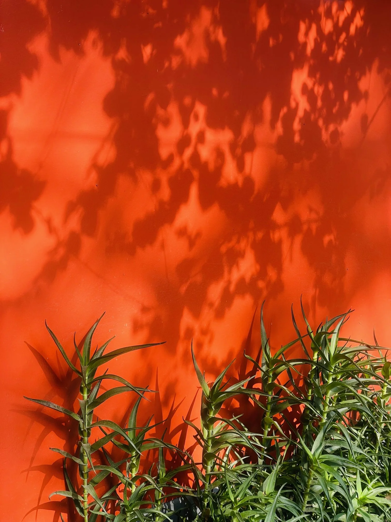 How to Heal Emotional Triggers: A Guide to Self-Accountability