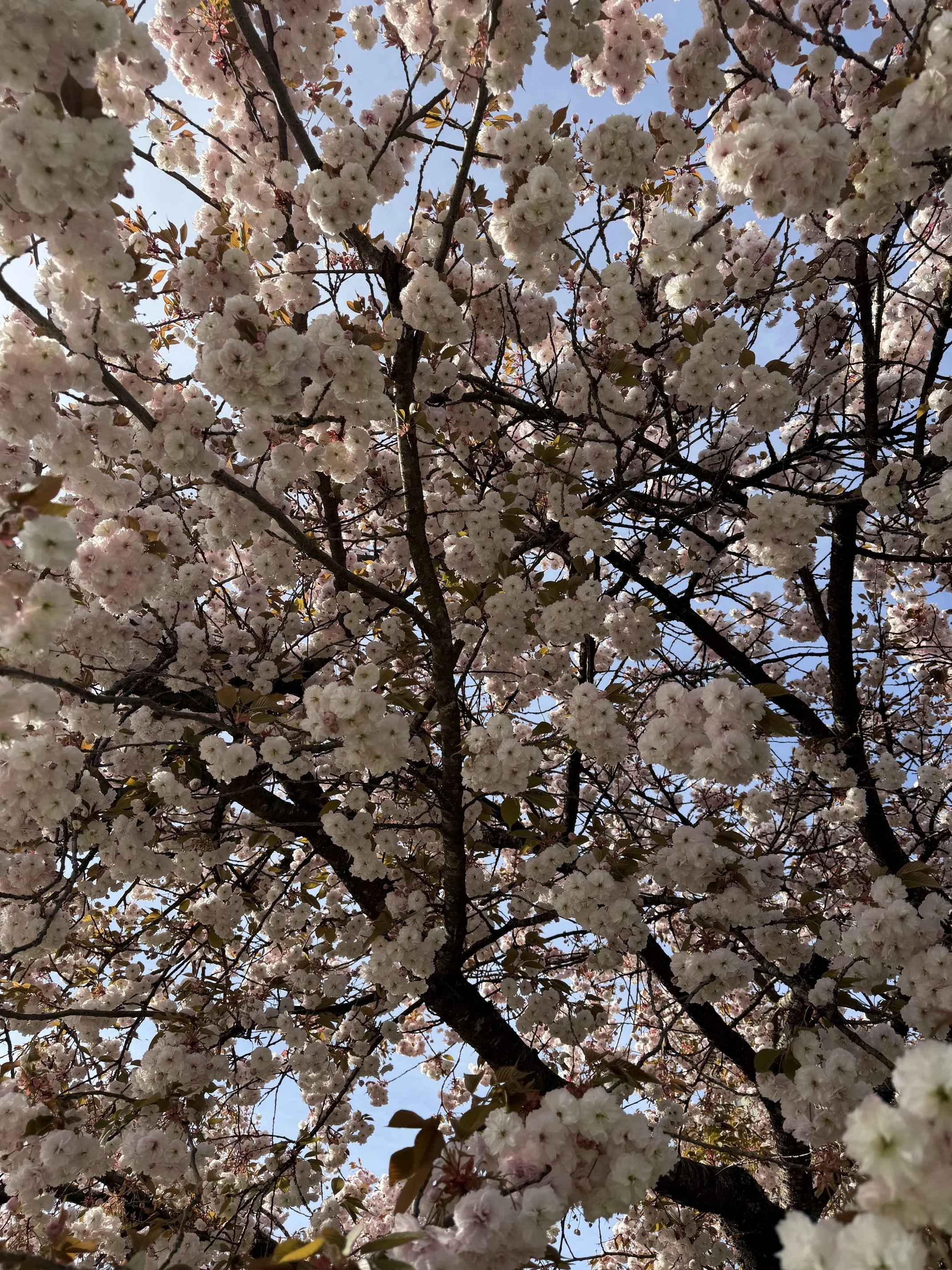 Why your body still flinches around family (even after you’ve forgiven them)