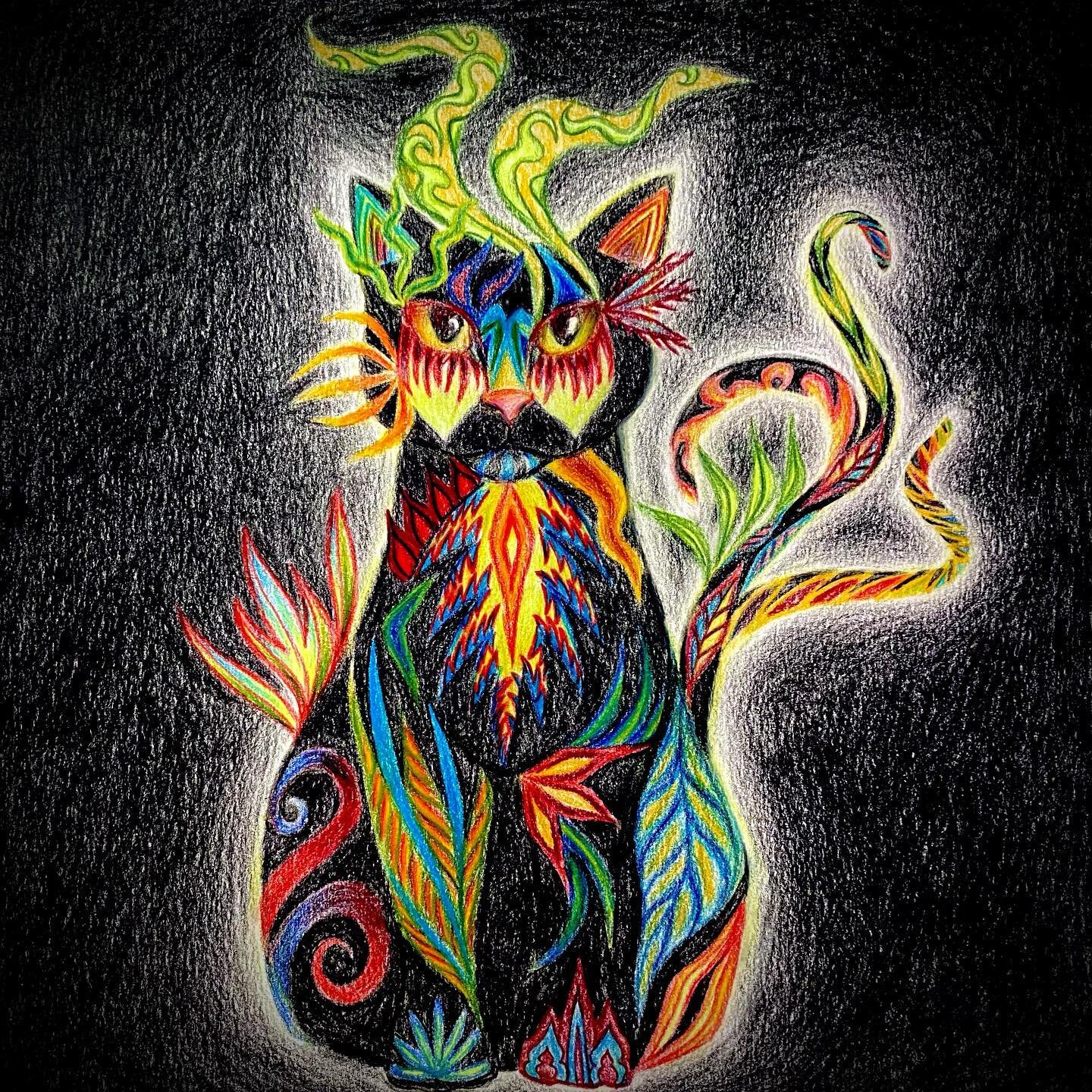 Psychic Kitty 🔮🐱gatekeeper of the infinite kitten dimension🎇♾🌀knows your fears, knows your future 
Black or white??