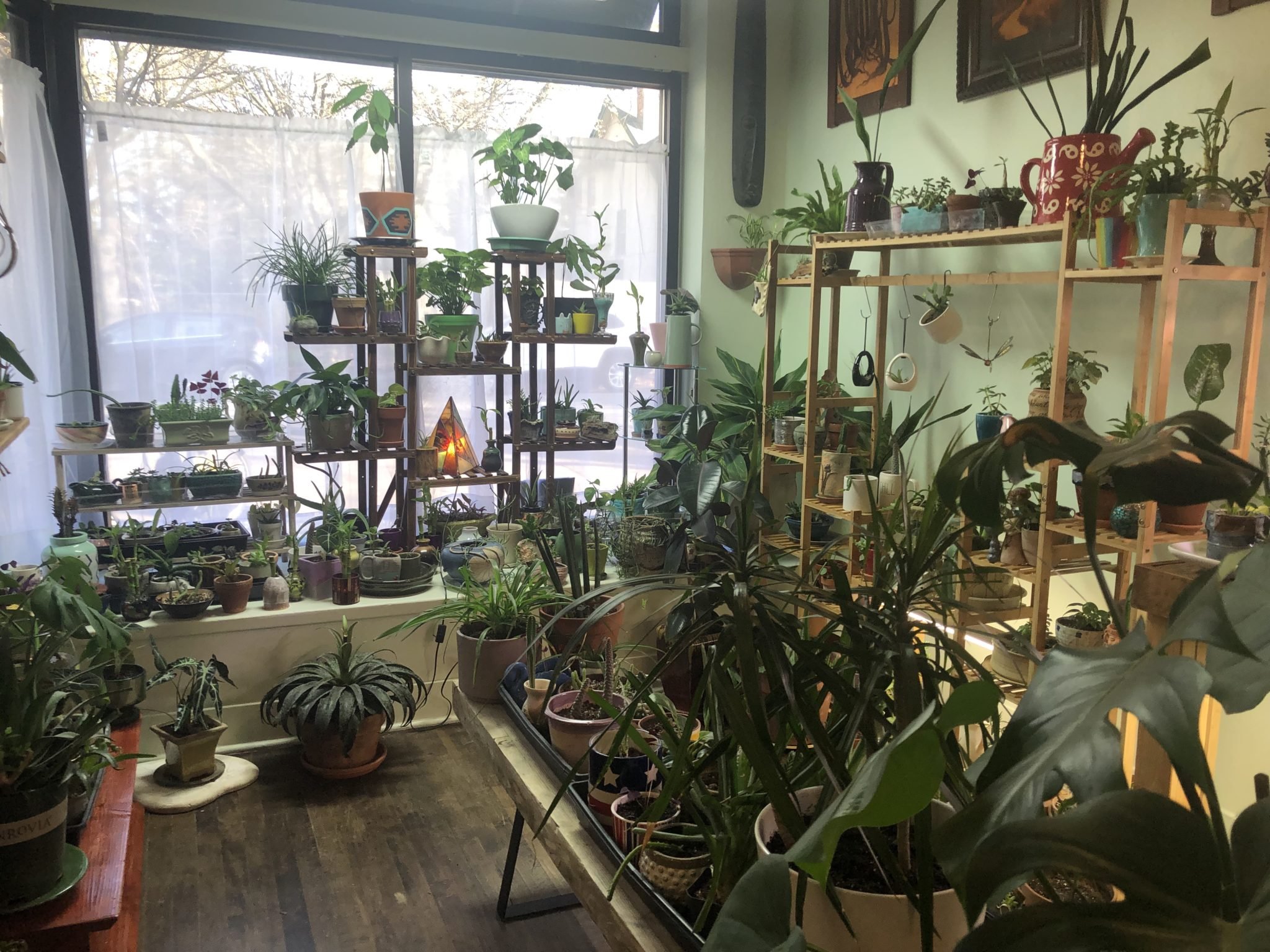 A New Plant Store Is Coming to Riverwest
