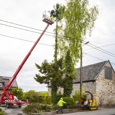 Trees And Electrical Safety