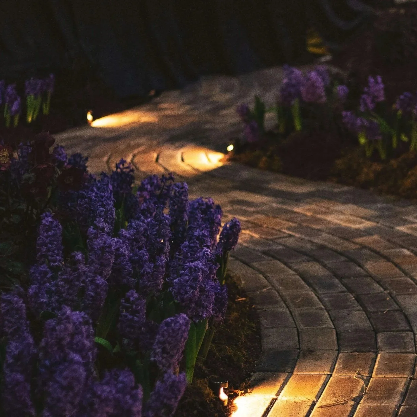 Garden Glow-Ups After Sunset