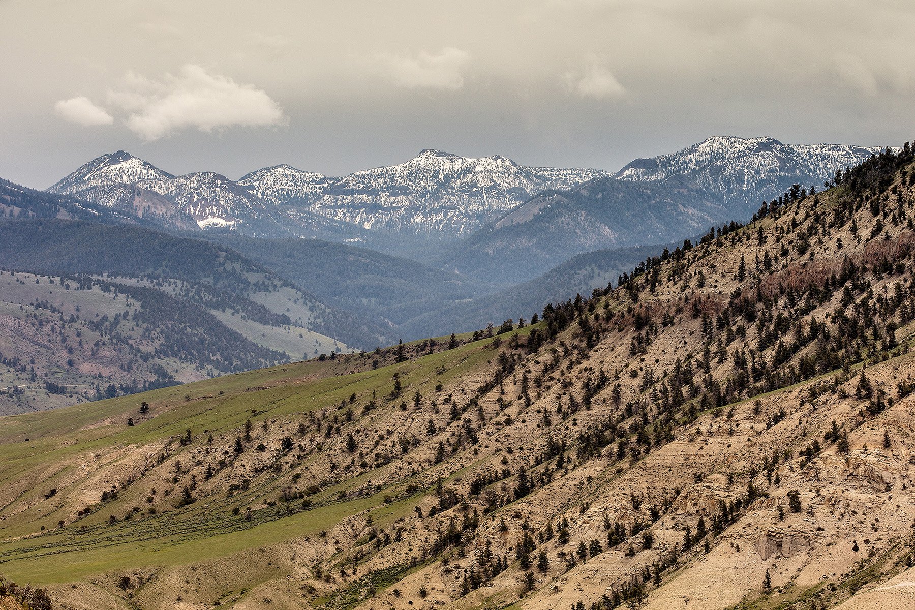 YNP-314.jpg