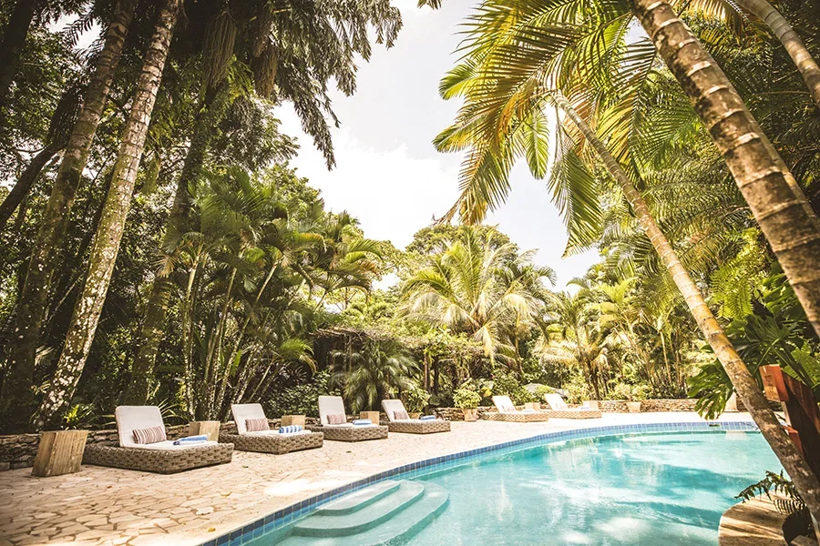 Swimming pool surrounded by lounge chairs and tropical trees and palm trees.