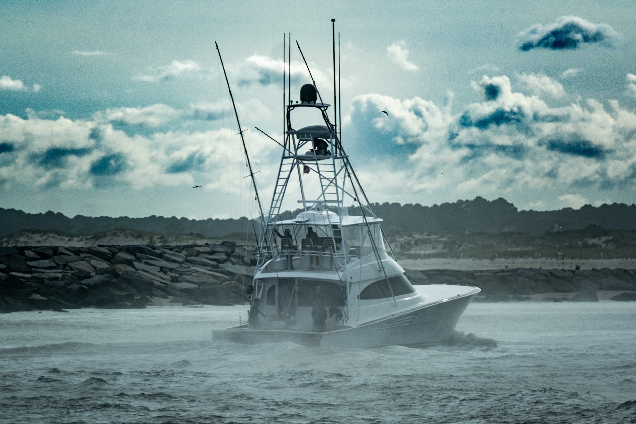 2024WMO_TheWildBlueFilms-131.jpg