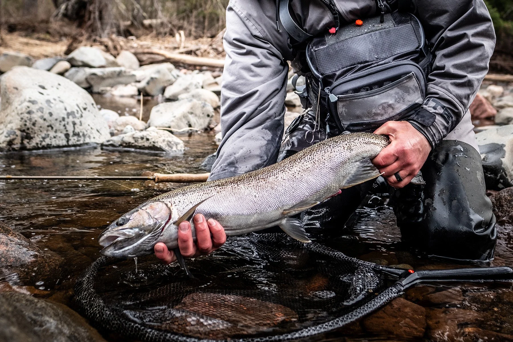 Steelhead Dreams Along Minnesota’s North Shore | Spring on Lake Superior
