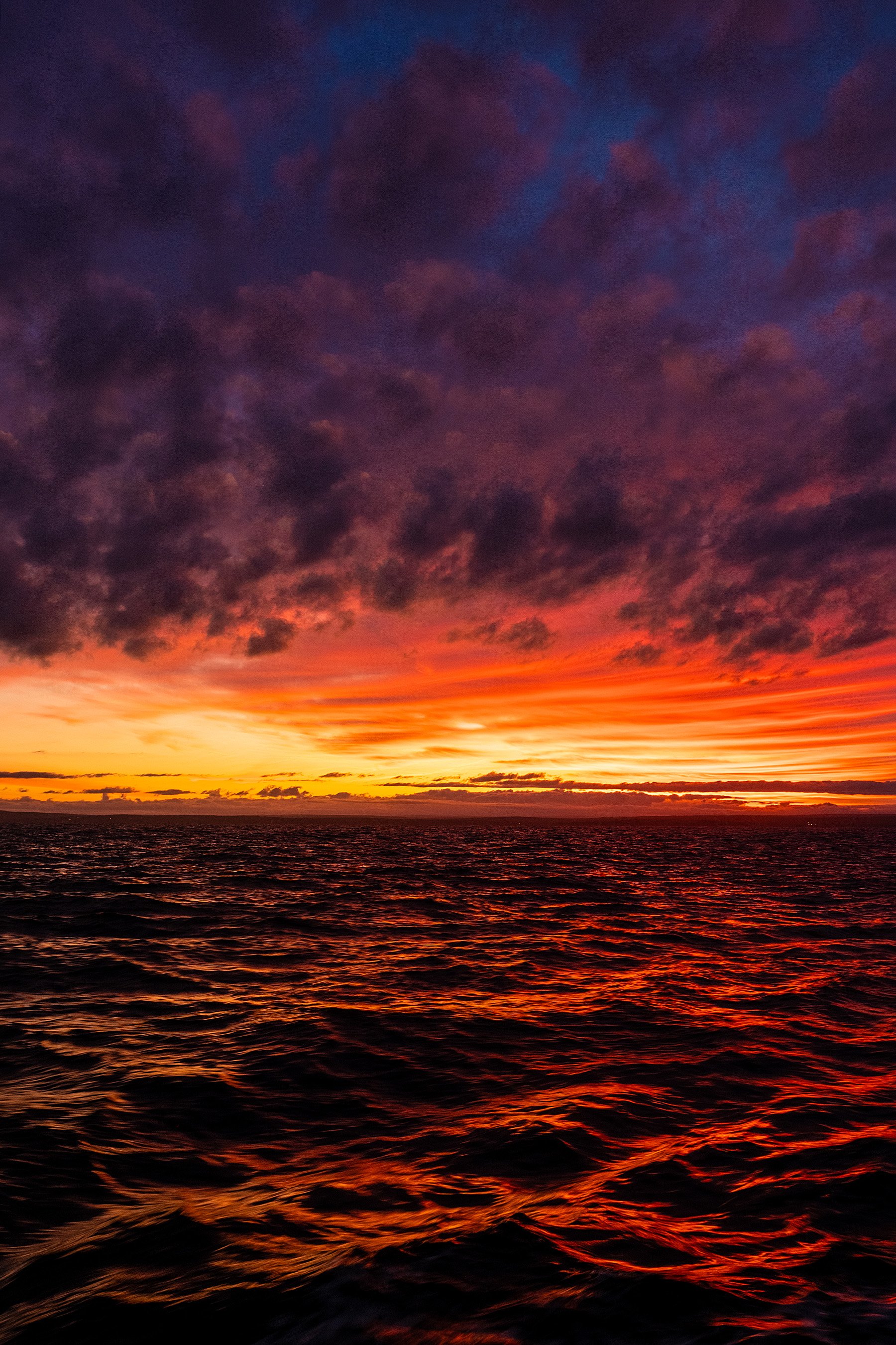 MarlinExpeditions_NovaScotia2024-410.jpg