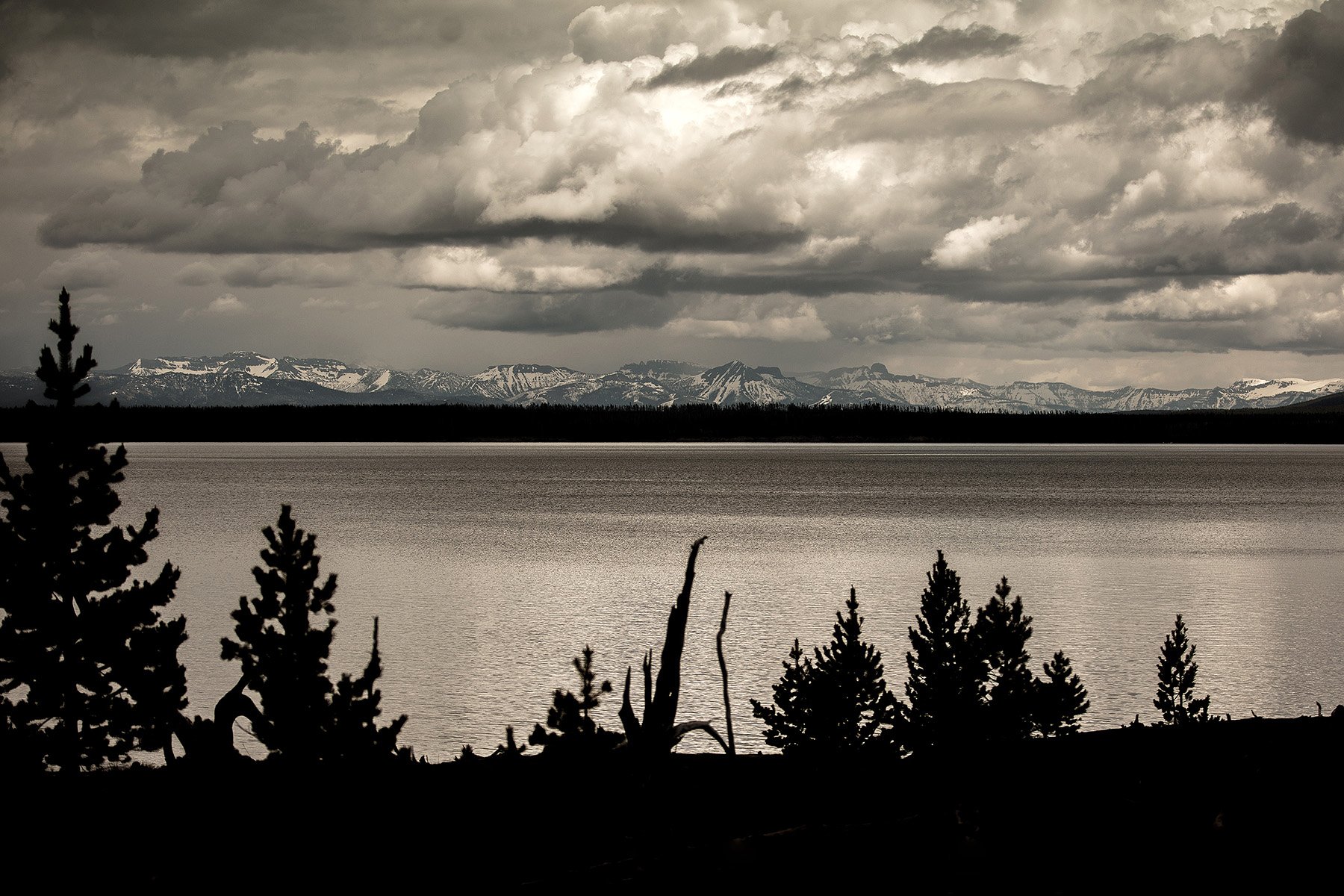 YNP-542.jpg
