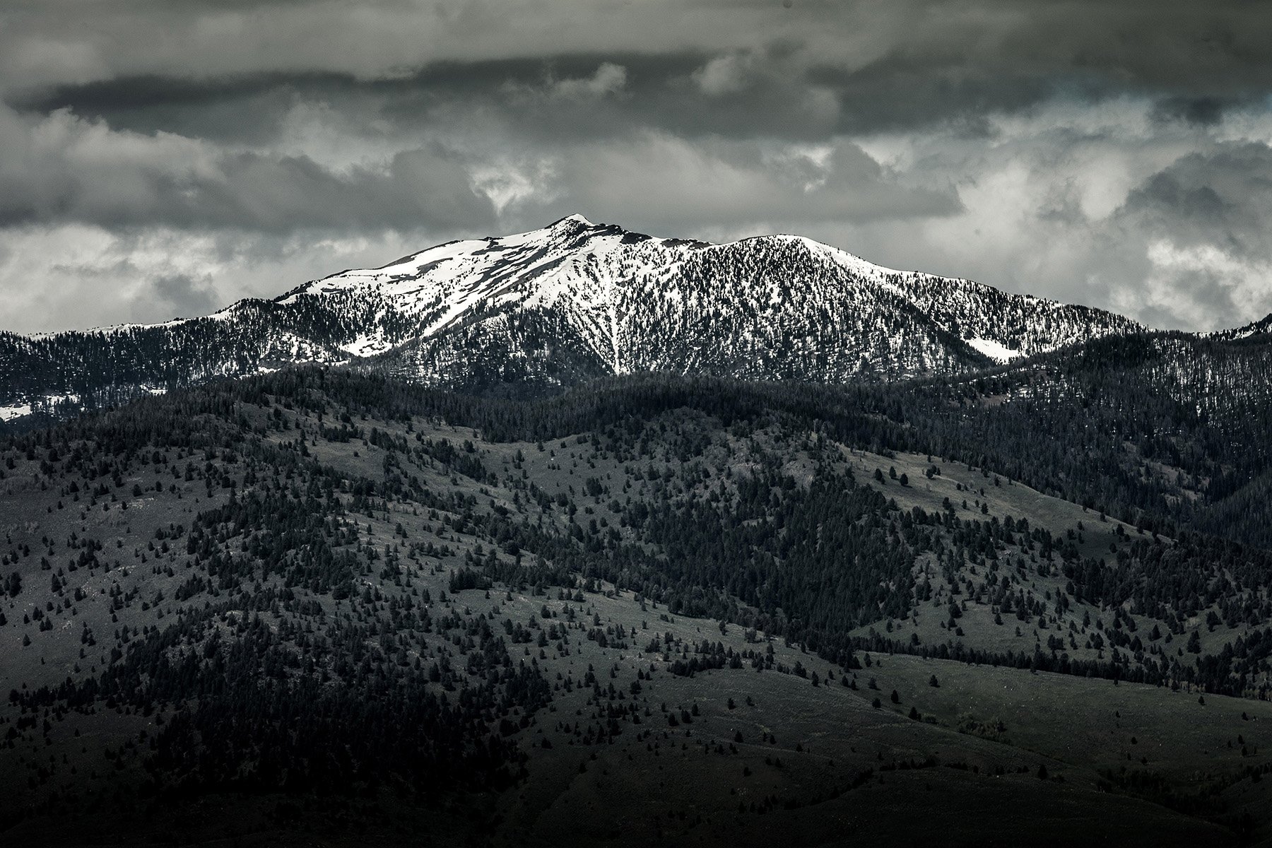YNP-389.jpg