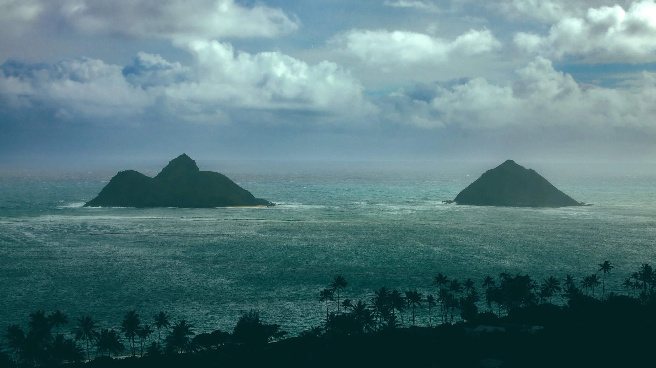 Sentinels of the Pacific