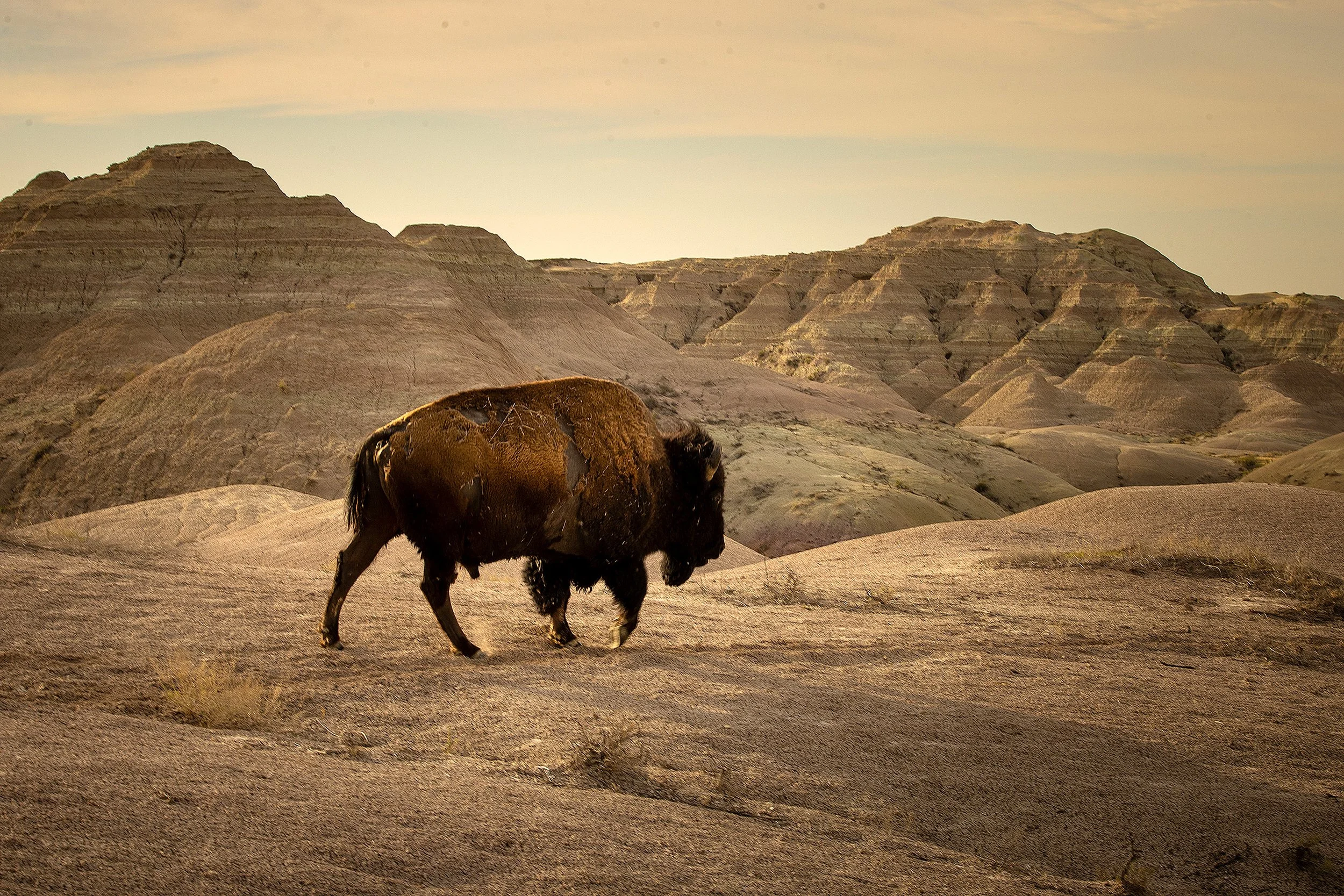 Badlands2026-200.jpg