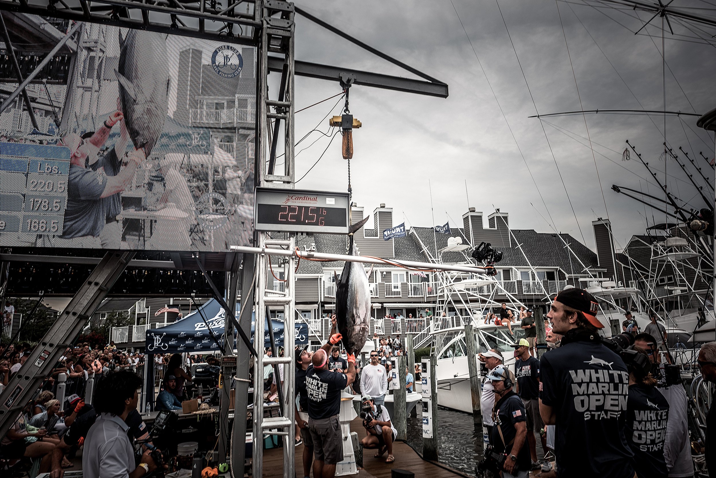 2024WMO_TheWildBlueFilms-162.jpg