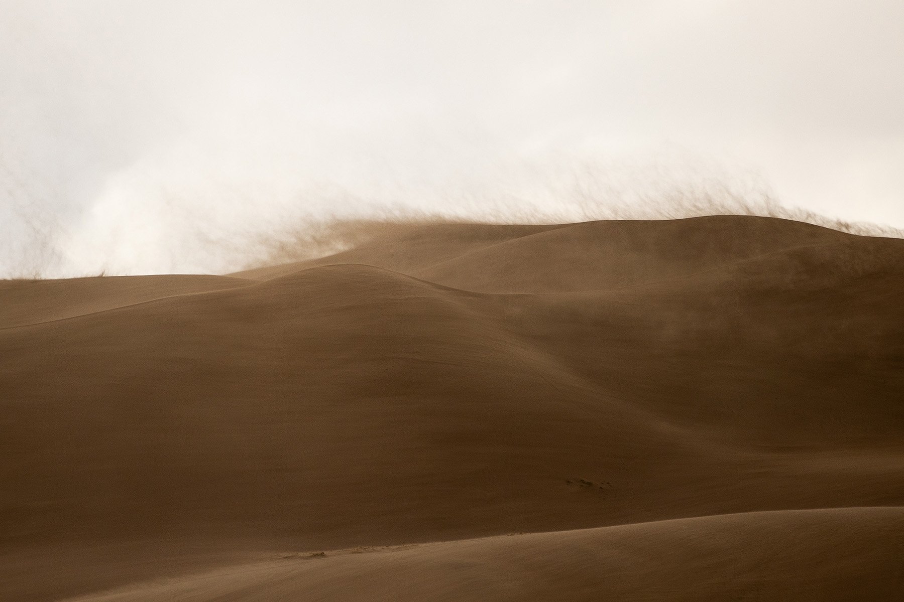 GreatSandDunes-194.jpg